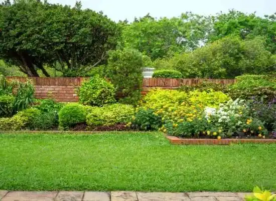 landscaping services Matamoras